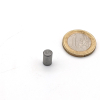 Stabgreifer AlNiCo mit Passungstoleranz h6 / d6x10 mm