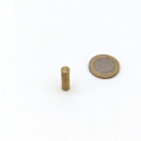Stabgreifer mit Kern aus SmCo &oslash; 6 x 20 mm, Passung h9 Ausf&uuml;hrung Messing, Haftkraft 6 N ~ 0,6 kg
