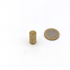Stabgreifer mit Kern aus SmCo ø 10 x 20 mm,...